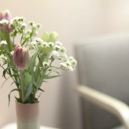 Zeleny Statek * Bzova