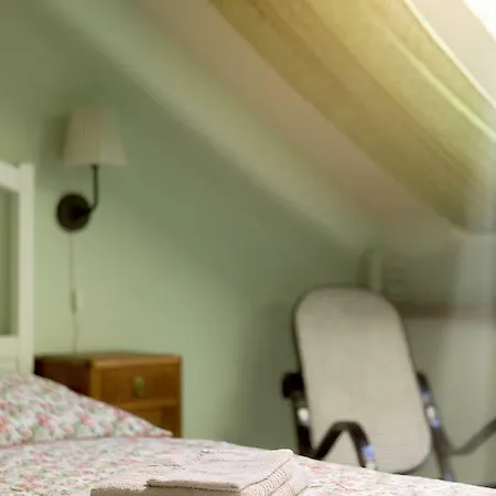 Zeleny Statek 公寓 *