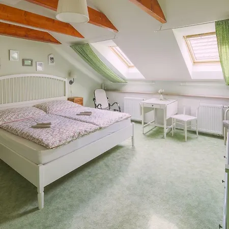 Zeleny Statek Apartment *